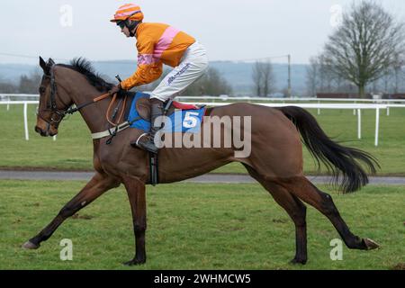 Third race at Wincanton March 2nd 2022 - Novices' Hurdle Stock Photo