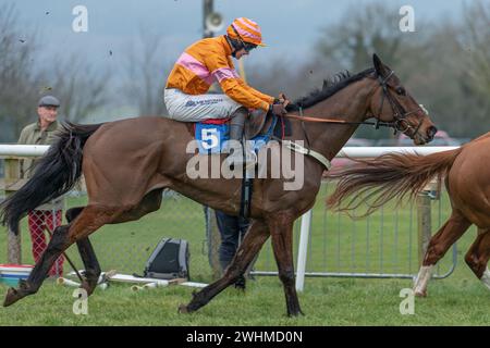 Third race at Wincanton March 2nd 2022 - Novices' Hurdle Stock Photo