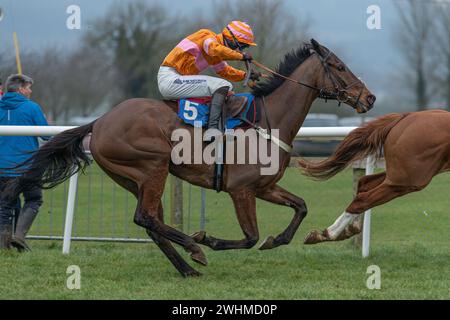 Third race at Wincanton March 2nd 2022 - Novices' Hurdle Stock Photo