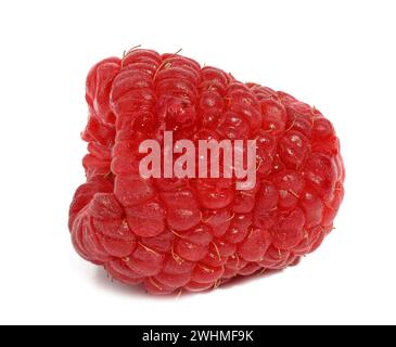 Ripe red raspberry on a white isolated background Stock Photo
