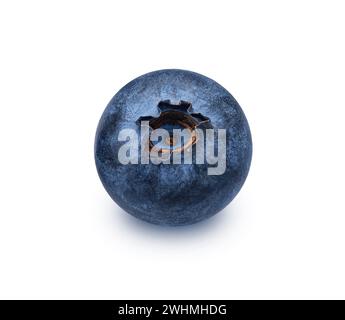 One blueberry isolated on white background, full depth of field Stock Photo