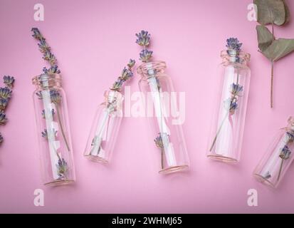 Lavender sprigs and eucalyptus in glass test tubes on purple simple background top view, beauty concept of cosmetology, bode and Stock Photo