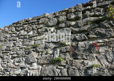 Stone wall Stock Photo