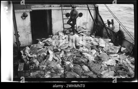 Blocks of blubber, Ross Sea, Whaling in the Ross Sea 1924 Stock Photo