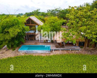 Green rice paddy fields in Central Thailand Suphanburi region Stock Photo