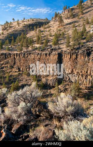 Deschutes River canyon from Scout Camp Trail, Steelhead Falls Wilderness Study Area, Deschutes Wild and Scenic River, Prineville District Bureau of La Stock Photo