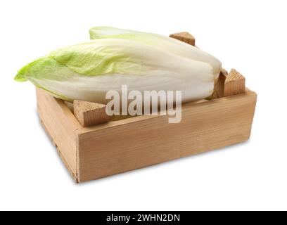 Raw ripe chicory in wooden crate on white background Stock Photo