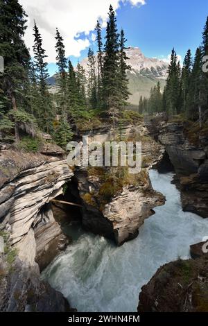 The rock flour, Athabasca falls carve though the rock to form a deep gorge in Jasper National Park, Alberta, Canada Stock Photo
