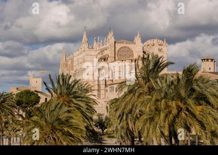 Catedral de Mallorca Stock Photo