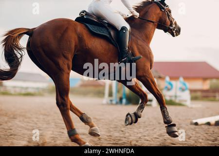 Dressage horse and rider in uniform during equestrian jumping competition or horse racing. Stock Photo