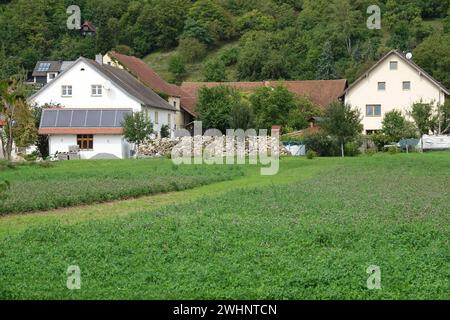 Fieldstone wall Stock Photo