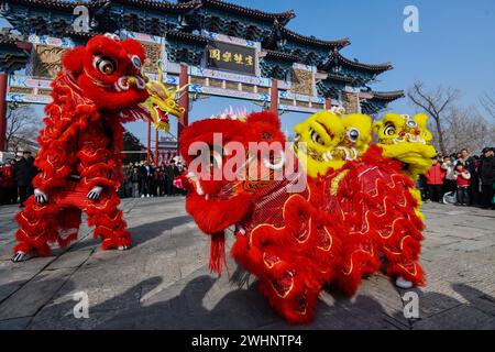 Fuyang, China. 10th Feb, 2024. Folk performers perform a dragon dance at the square, an important traditional performance in China to celebrate the Chinese New Year, the Spring Festival. (Photo by Sheldon Cooper/SOPA Images/Sipa USA) Credit: Sipa USA/Alamy Live News Stock Photo