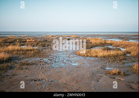Mudflats at low tide in Friedrichskoog, Germany Stock Photo