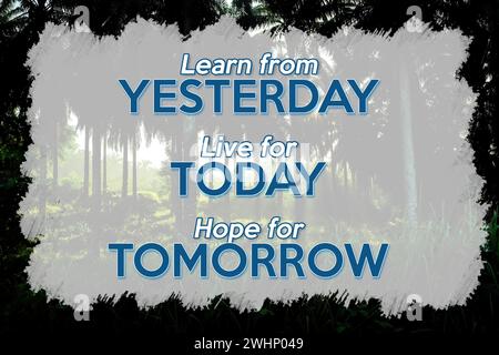 The morning atmosphere in the palm oil plantation, the sun shines through the palm trees with quotes 'Learn from yesterday, Live for today Stock Photo