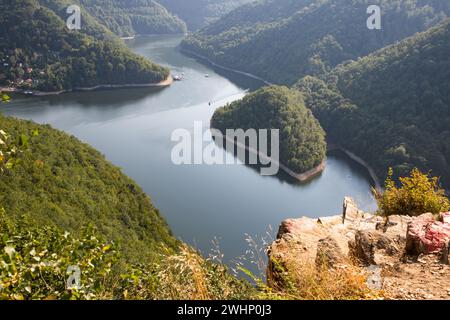 Aerial view of lake in pine forest Stock Photo