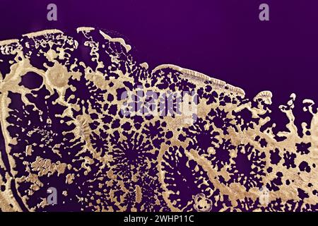 Fluid Art. Metallic gold openwork abstraction on purple background Stock Photo