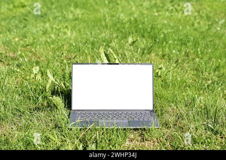 Laptop computer with white screen mock up in the grass on a meadow, green business concept, sustainable lifestyle and environmen Stock Photo