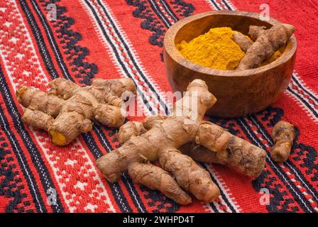 Turmeric roots (Curcuma longa), Zingiberaceae. Tropical plant in the same family as ginger, native to India, and cultivated throughout the tropics aro Stock Photo
