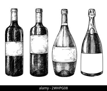 Wine bottles sketch ink graphic set illustration, draft silhouette drawing, black on white line art. Vintage etching drink design. Stock Vector