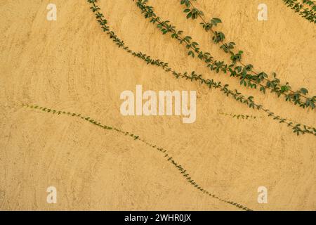 Abstract clay wall grunge texture background interior decoration mud wall texture Sandstone texture Natural background. Stock Photo