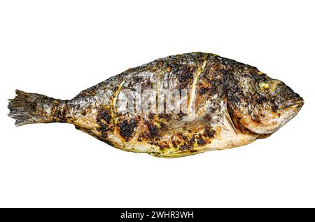 Grilled Dorado fish Isolated on white background. Top view Stock Photo