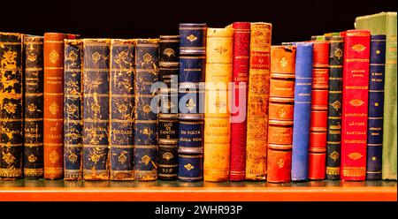 Stunning row of colored old books on a wooden shelf Stock Photo