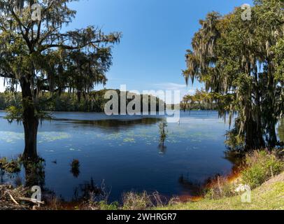 Landscape with live oak trees covered in Spanish Moss on the Waccamaw River and Intracoastal Waterway in South Carolina Stock Photo