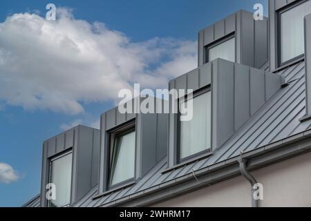 straight dormers on a sloping tin roof Stock Photo