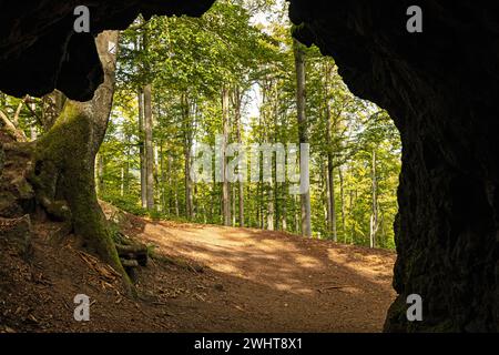 View from the inside of the burnt out stone tunnel near Geratal in the Thuringian Forest Stock Photo