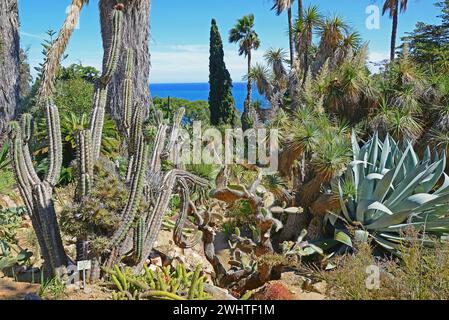 Marimurtra, Botanic Garden, Costa Brava, Spain Stock Photo