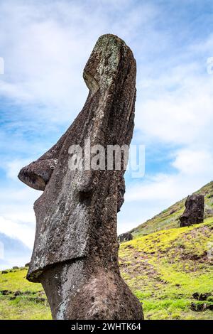 Moais in the quarry of Rano Raraku, in Rapa Nui, Easter Island Stock Photo