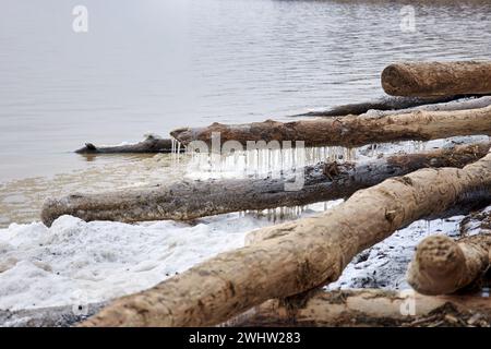 Driftwood frozen on the seashore, tree trunks covered with snow and ice, Icicles hanging. Winter natural landscape. Shore of lake pond, ripples on wat Stock Photo