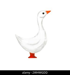 Watercolor goose on white background. Hand painted watercolor illustration isolated on white background Stock Photo