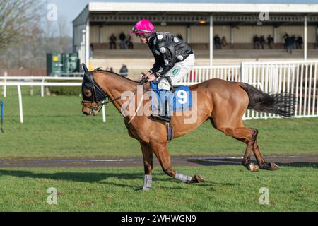 Third race at Wincanton February 19th 2022 - Steeple chase Stock Photo