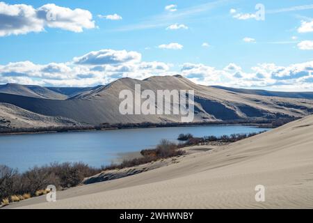 Sand dune formations, Desert Oasis, Bruneau Dunes State Park, Owyhee County, Owyhee Desert, Idaho Stock Photo