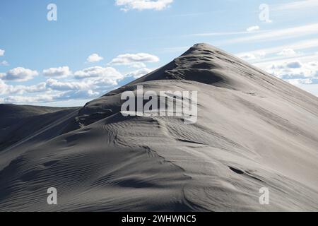 Sand dune formations, Desert Oasis, Bruneau Dunes State Park, Owyhee County, Owyhee Desert, Idaho Stock Photo