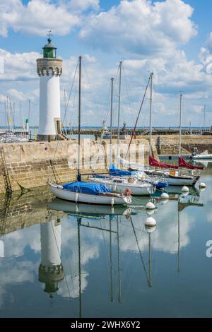 France, Morbihan, Peninsula of Quiberon, Quiberon, summer on the wild ...