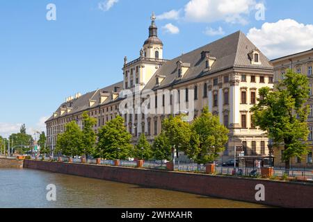 Wroclaw, Poland - June 05 2019: The University of Wrocław (Polish: Uniwersytet Wrocławski) is a public research university located in the city center Stock Photo