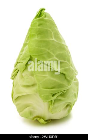 Fresh pointed cabbage isolated on white background Stock Photo