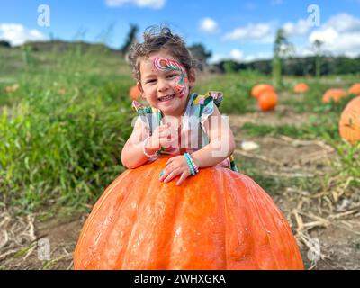 Little girl picking pumpkins on Halloween pumpkin patch. Child playing in field of squash. Stock Photo