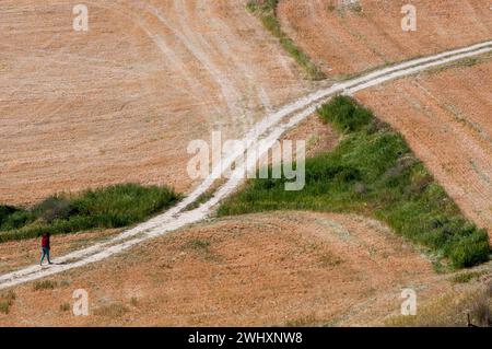 Young woman walking outdoors on in a field. Hiking outdoor. Healthy lifestyle Stock Photo