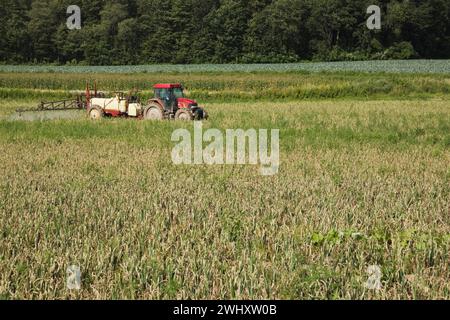 Farm tractor with boom sprayer applying pesticide chemical on crops in agricultural field. Stock Photo