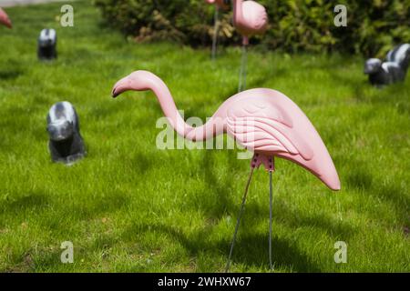 Decorative plastic pink Phoenicopterus ruber - Flamingos and Mephitis - Striped Skunk decoys on green grass lawn to celebrate a birthday in spring. Stock Photo