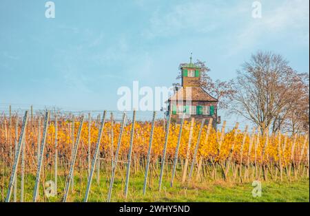 Hochwart on the island of Reichenau Stock Photo