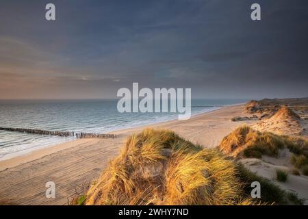 North sea beach view Stock Photo
