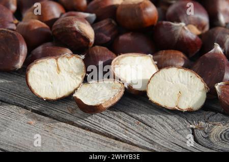 Castanea sativa, sweet chestnut Stock Photo