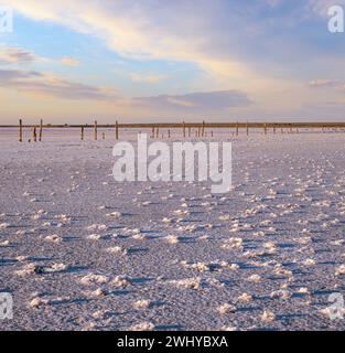 Sunset Genichesk pink  salty lake, Ukraine Stock Photo