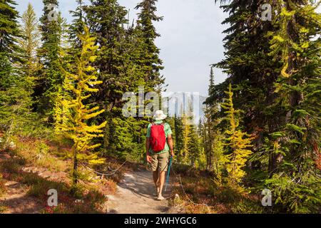 Hike in autumn season Stock Photo