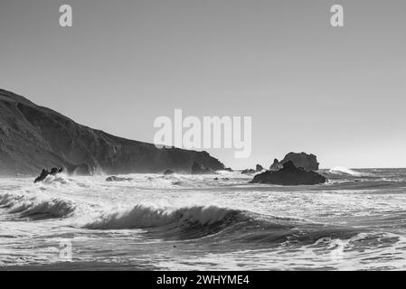 Goat Rock, Northern California, Seagull, Waves, Coastal beauty, Pacific Ocean, Rock formations, Coastal waves Stock Photo