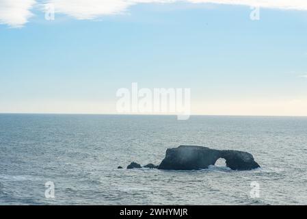 Goat Rock, Northern California, Seagull, Waves, Coastal beauty, Pacific Ocean, Rock formations, Coastal waves Stock Photo